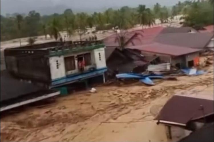 Banjir-Longsor Hantam Batangtoru, Walhi: Bencana Ini Bukan Hanya karena Faktor Alam