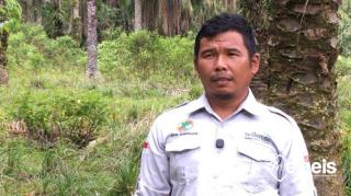 Tak Sekadar Berkebun Sawit