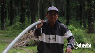 Tentang Ramin dan Istrinya di Kebun Sawit