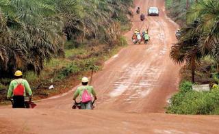 Soal Ketentuan Plasma 20 Persen, Apkasindo Kaltim Minta Pemerintah Bersikap Tegas