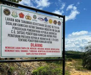 Ini Kata Pemerhati Soal Sanksi Denda Kebun Sawit Swadaya yang Terlanjur Berada di Kawasan Hutan