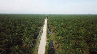 Soal Audit dan Pengukuran Ulang HGU di Aceh, Fadhli: Bukan Hal yang Baru