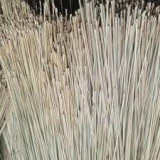 Ekspor Lidi Sawit Indonesia Anjlok, Terancam Kehilangan Pasar? 