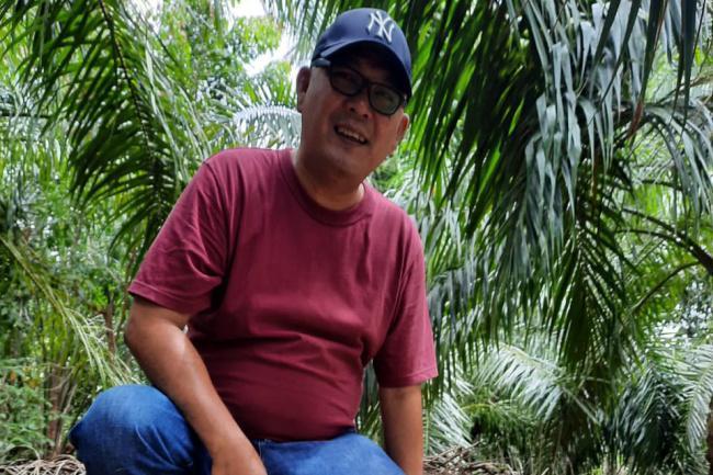 Naik Tipis, Harga Sawit di Sumut Jadi Segini