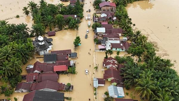 Banjir Sumatera, Apkasindo Desak Audit Menyeluruh Atas Izin Pemanfaatan Kayu dan Alih Fungsi Kawasan Hutan