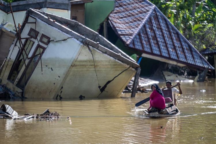Banjir Sumatera, APKASINDO Desak Setop Sudutkan Sawit