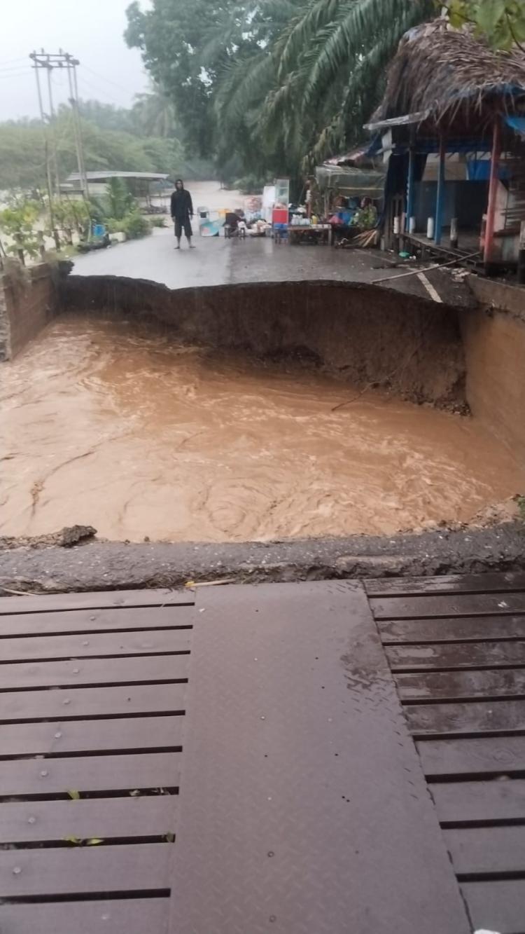 Saat Petani Sawit di Aceh Tenggara Dilanda Kebingungan