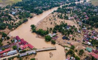 Sawit Dituding Penyebab Banjir Sumatera, Prof Budi: Saya Tidak Sependapat