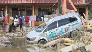 Sawit Watch: Peremajaan Kebun Rakyat Jauh Lebih Masuk Akal daripada Ekspansi baru