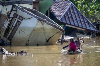 Banjir Sumatera, APKASINDO Desak Setop Sudutkan Sawit
