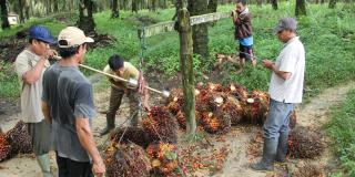 Disorot, Skema Denda Administratif dalam PP 45/2025 