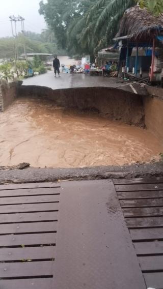 Saat Petani Sawit di Aceh Tenggara Dilanda Kebingungan
