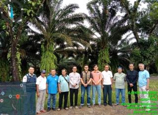 Diverifikasi Faktual, 60 Hektar Kebun Sawit Petani di Banten untuk Diikutkan PSR