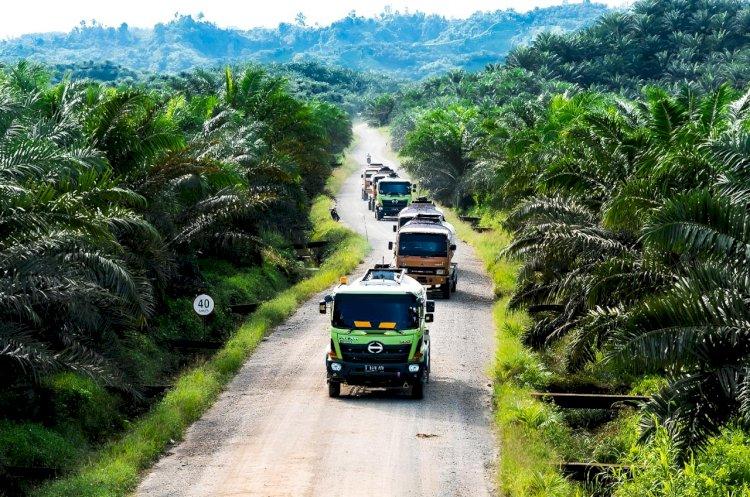 Sawit Tumbuh Menjadi Industri Raksasa, tapi Rakyat di Sekelilingnya Tetap Kecil