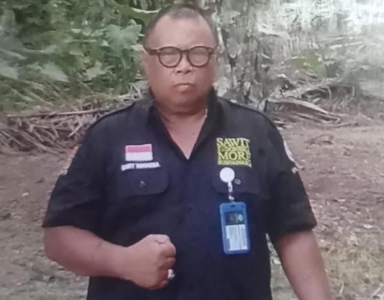 Kewalahan Menghadapi Ganoderma Menyerang Tanaman Sawit? Coba Cara Ini!