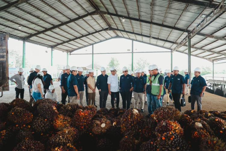 Danantara Puji Transformasi Berkelanjutan yang Dijalankan PalmCo