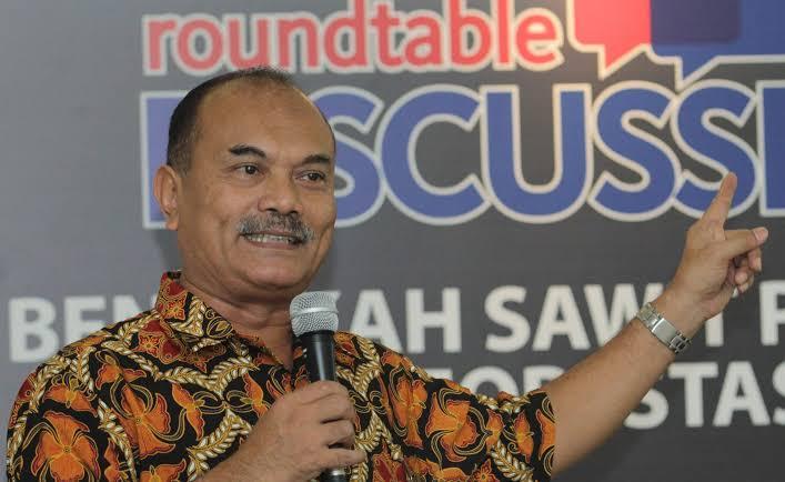 Akademisi IPB: Proses Degradasi Hutan Kerap Terjadi Jauh Sebelum Sawit Ditanam