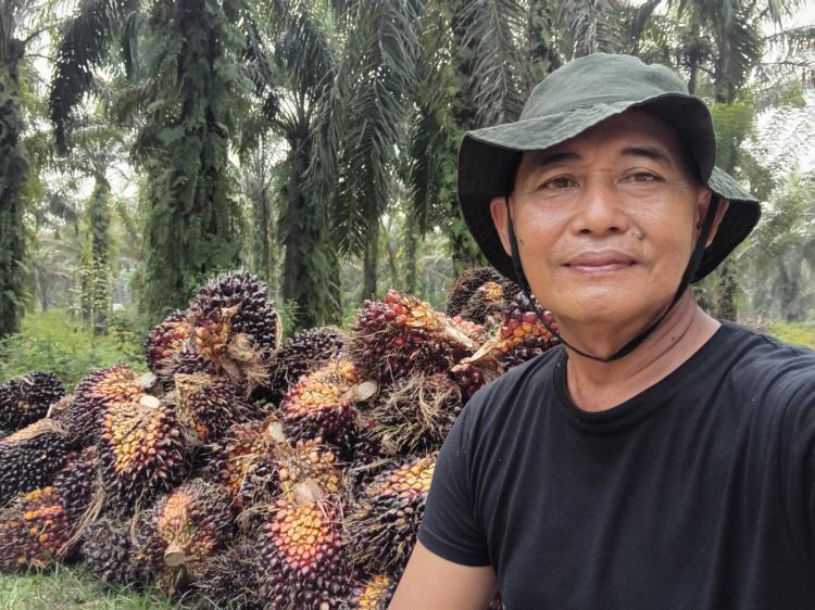 Apkasindo Sijunjung Dukung Gubernur Sumbar Tegur PKS Bandel: Pantas Diberikan