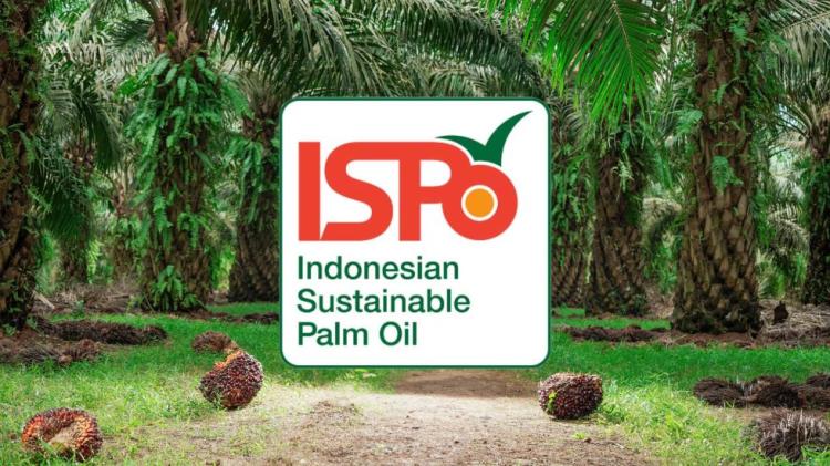 Kepesertaan ISPO Masih Sepi Peminat, BSN Buka Suara