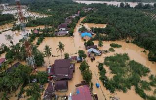 Samade: Tekanan terhadap Industri Sawit Semakin Besar Setelah Bencana Ekologis