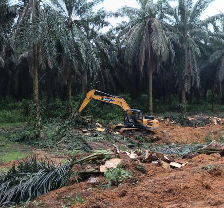 Pemprov Sumsel Targetkan PSR 3.600 Hektar di 2026, Ini Sebarannya