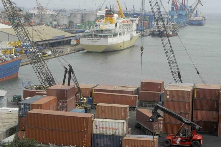 Soal Kebijakan Bebas Tarif AS, Gapki Sumsel: Momentum Positif bagi Petani Sawit