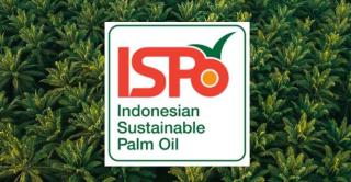 Tanpa Percepatan Penyelesaian Legalitas Lahan, Target Wajib ISPO bagi Petani Sulit Tercapai