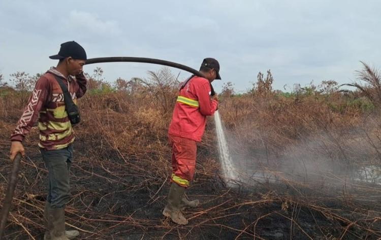 Ini Kisah Manggala Agni Menangani Karhutla di Lahan Gambut