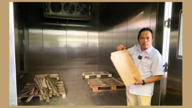 BRIN Tengah Mengembangkan Genting Tahan Gempa Berbahan Limbah Kelapa dan Sawit