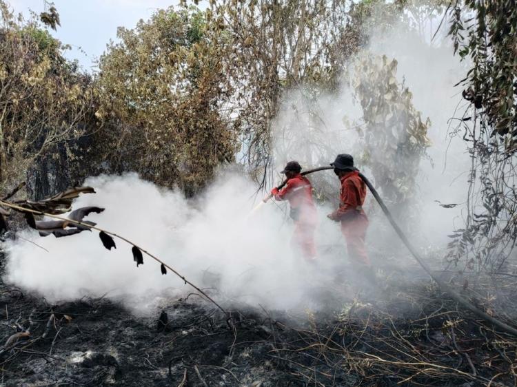 Sumber Air Sulit, Baru 1 dari 15 Hektar Lahan Terbakar di Rimbo Panjang yang Berhasil Dipadamkan