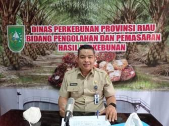 Naik, Harga Sawit Mitra Plasma di Riau