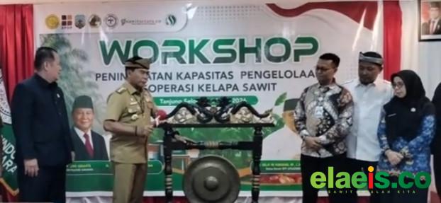 Dorong Peningkatan Kapasitas dan Pengelolaan Koperasi Sawit, Ini yang Dilakukan Apkasindo Kaltara
