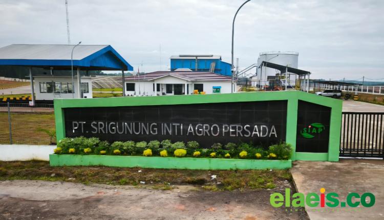 3 PKS di Muba akan Segera Operasional, Aspek-PIR Sumsel: Kami Bangga dengan Perjuangan Petani