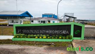 3 PKS di Muba akan Segera Operasional, Aspek-PIR Sumsel: Kami Bangga dengan Perjuangan Petani