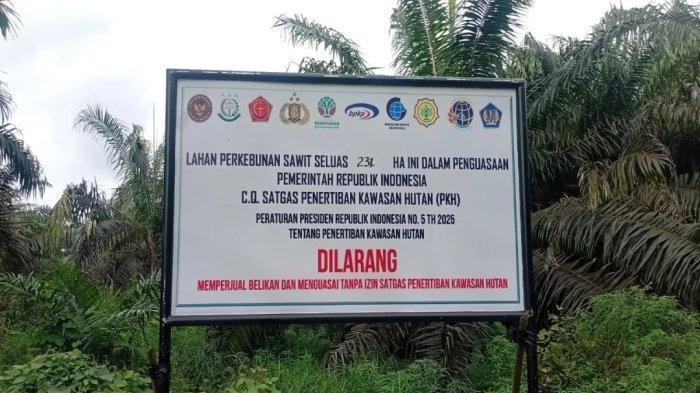 Walhi Minta Penertiban Kawasan Hutan oleh Satgas PKH di Jambi dengan Mengedepankan Prinsip Keadilan 