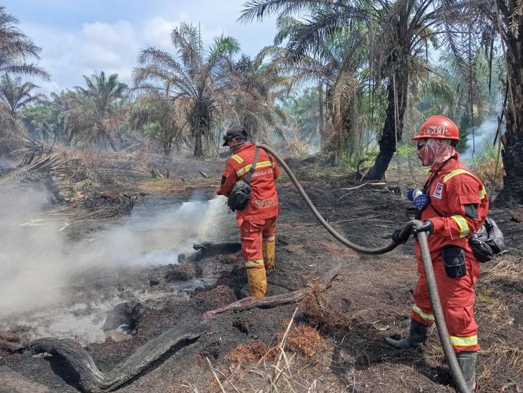 Masyarakat Dilarang Membuka Lahan dengan Dibakar, Plt Gubri Ingatkan tentang Sanksi Hukum