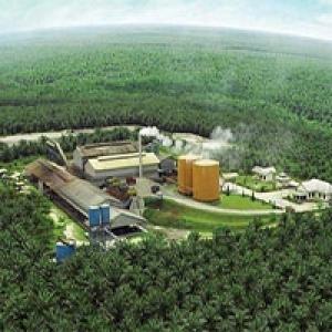 Soal PAP bagi Industri Sawit, Ini Saran Ekonom