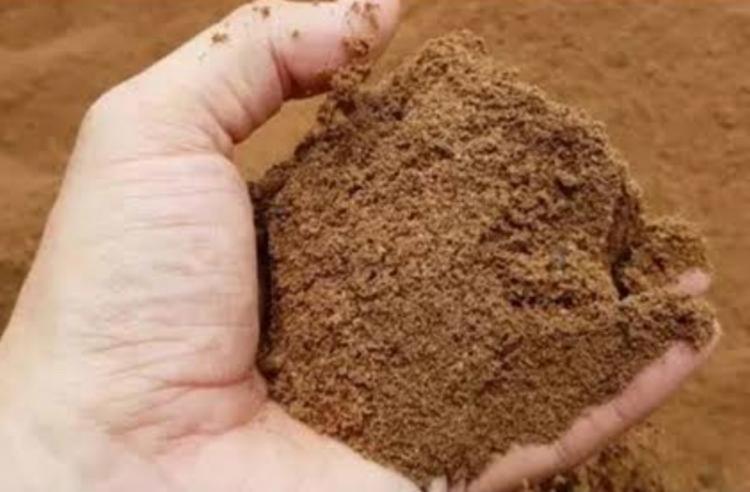 Ternyata Bungkil Inti Sawit Bisa Menjadi Pakan Alternatif Ternak