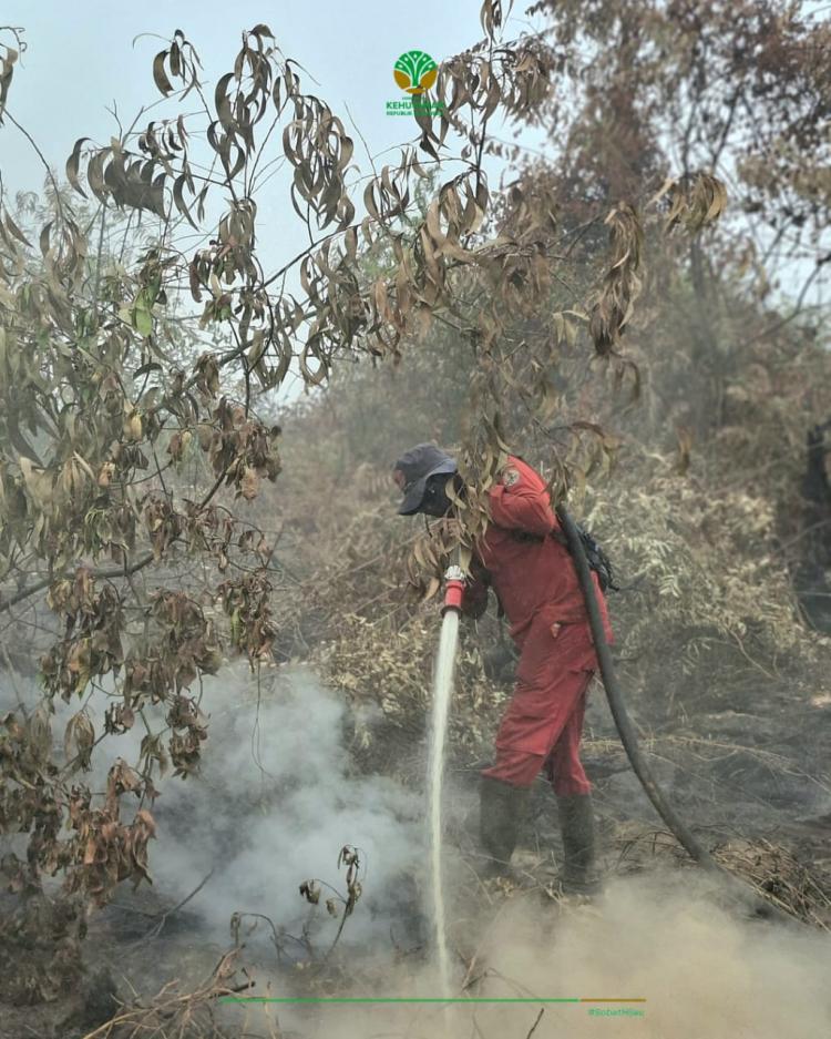 Penanganan Karhutla 488 Hektare di Inhu dan Inhil Riau Terkendala Terbatasnya Sumber Air di Lokasi