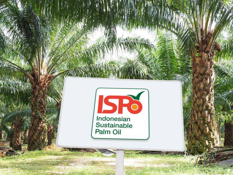 Diperkuat, Langkah-langkah Mengejar Target Sertifikasi ISPO