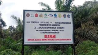 Walhi Minta Penertiban Kawasan Hutan oleh Satgas PKH di Jambi dengan Mengedepankan Prinsip Keadilan 