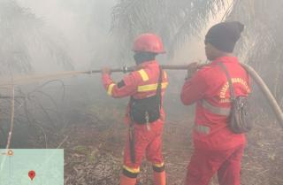 Tim Gabungan Masih Berjibaku Tangani Karhutla di 2 Kabupaten di Riau
