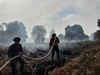 Operasional Manggala Agni Tangani Karhutla di Riau juga Melakukan Mopping-up