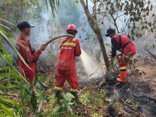 Lagi, Manggala Agni Kerahkan Tim Tangani Karhutla ke Lima Lokasi di Riau