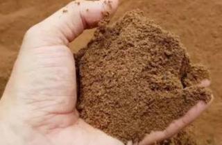 Ternyata Bungkil Inti Sawit Bisa Menjadi Pakan Alternatif Ternak