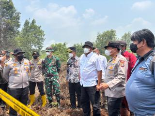 Menteri LH: Hampir 85.000 Hektare Lahan di Wilayah Konsesi di Indonesia Telah Terbakar