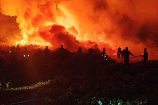 Hadapi Ancaman Karhutla, Gapki Perketat Kesiapsiagaan Perusahaan Anggota