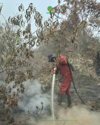 Penanganan Karhutla 488 Hektare di Inhu dan Inhil Riau Terkendala Terbatasnya Sumber Air di Lokasi