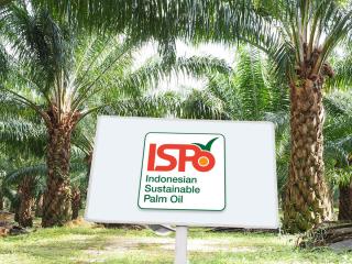 Diperkuat, Langkah-langkah Mengejar Target Sertifikasi ISPO