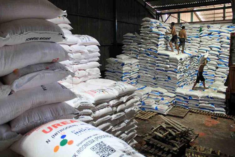 Pemerintah Didesak Membuka Akses Pupuk Bersubsidi bagi Petani Sawit